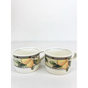 Two MIKASA Coffee Cups INTAGLIO Stoneware GARDEN HARVEST 3.5" x 2.5" Vintage